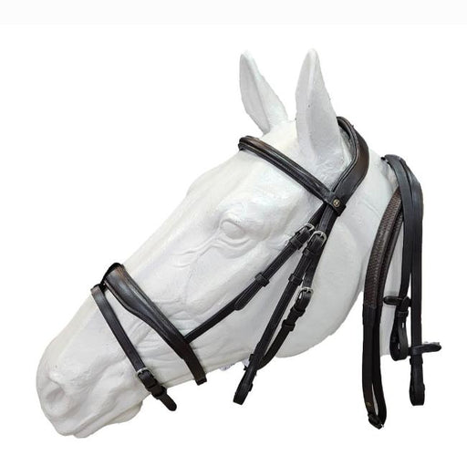 Glory Show Bridle with Matching Stitching