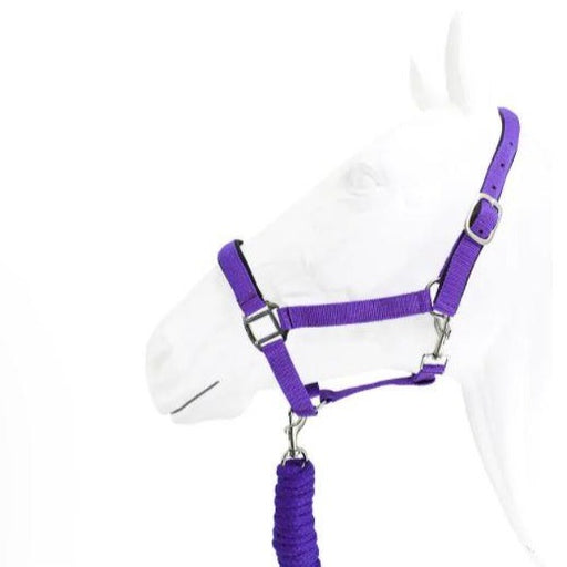 Padded Webbing Halter with Rope Lead