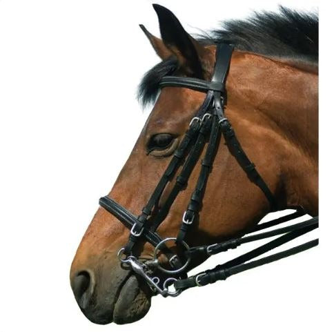 Weymouth Raised Bridle